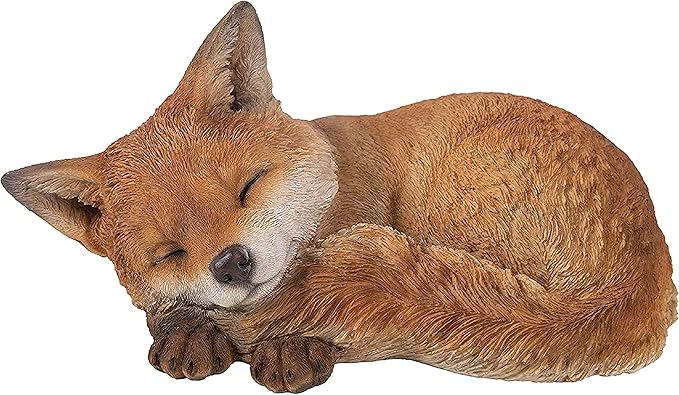 RL Sleeping Fox Cub D Keans Claremorris