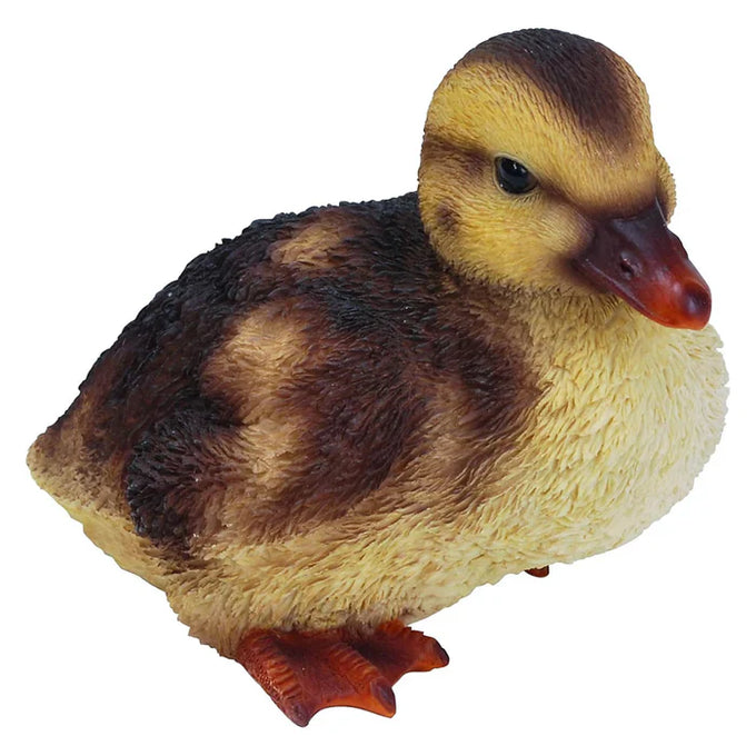 RL Squatting Duckling F Keans Claremorris