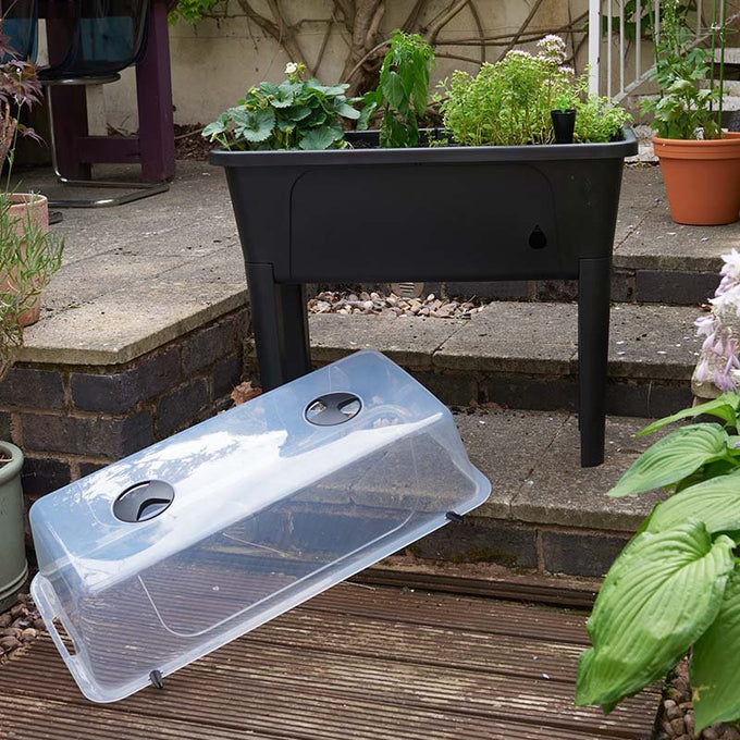 Raised Patio Planter Keans Claremorris