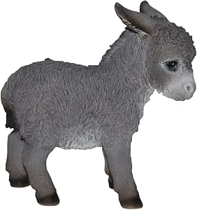 Real Life Baby Donkey D Keans Claremorris Keans Claremorris