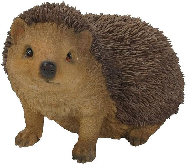 Real Life Hedgehog D Keans Claremorris