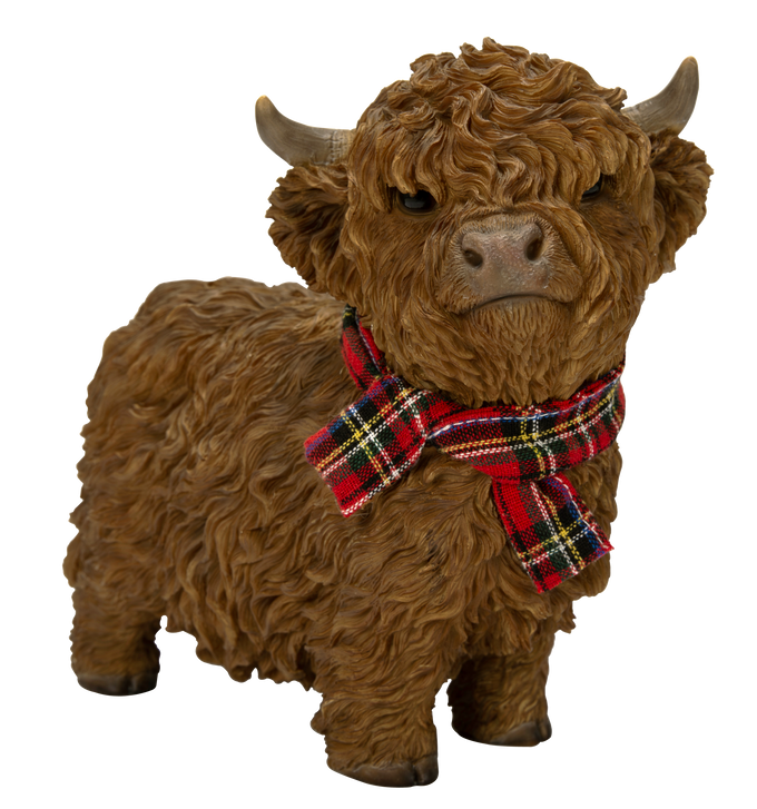 Real Life Highland Cattle AW Mini F Keans Claremorris