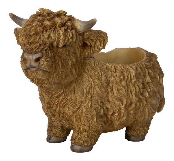 Real Life Highland Cattle Planter – D Keans Claremorris