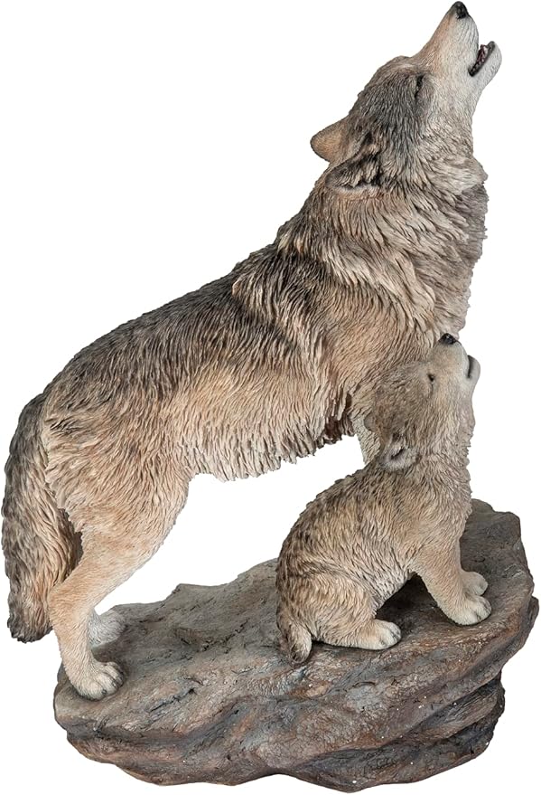Real Life Howling Wolves A Keans Claremorris