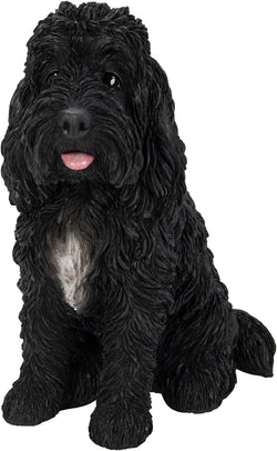 Real Life Sitting Black Cockapoo D Keans Claremorris