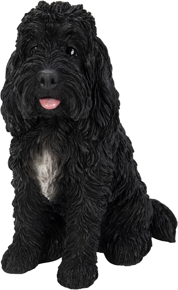 Real Life Sitting Black Cockapoo D Keans Claremorris