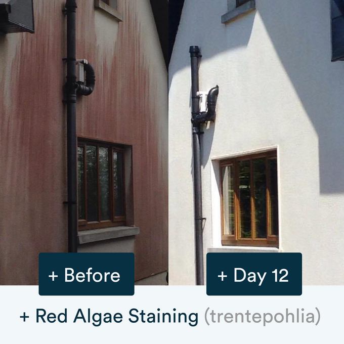 Actiwash Domestic Biocide removing red & green algae, mould, fungi - Keans Claremorris