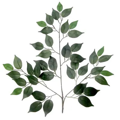 Green Ficus Branch – 50 cm - Image 1