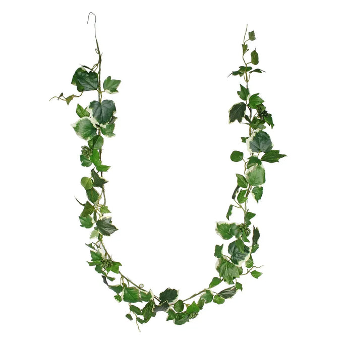 French Ivy Garland - Variegated Leaves - Image 1