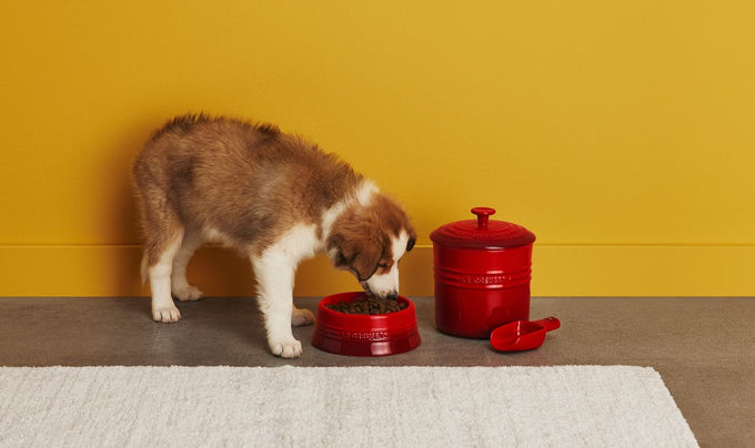 Le Creuset Stoneware Medium Pet Bowl Volcanic - Image 5