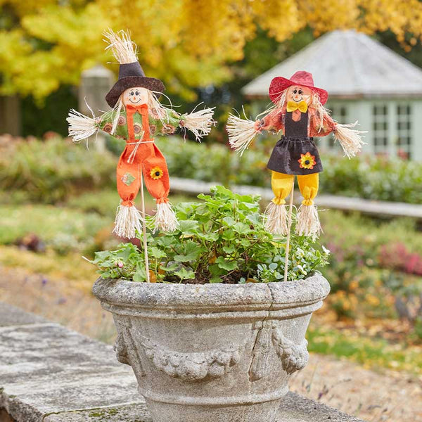 Scarecrow DecoStake - 50cm Keans Claremorris