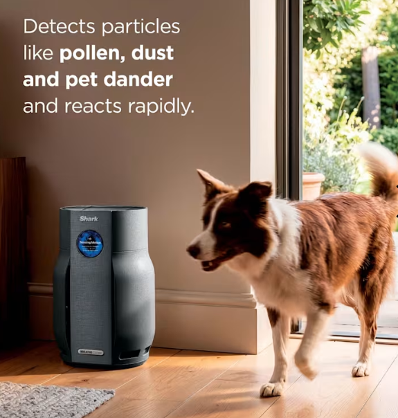 Shark BreatheClear Compact Air Purifier Black| HP062UKBK - Image 3