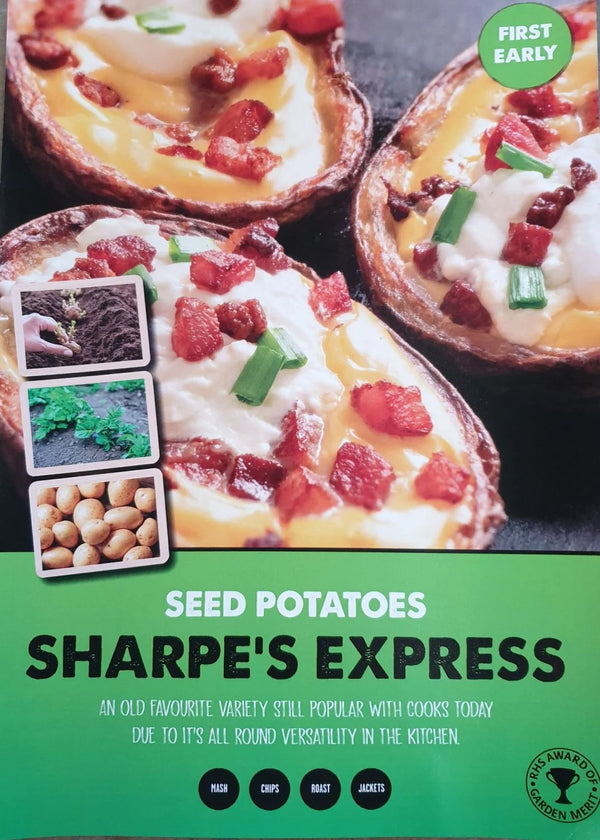 First Earliers Sharpes Express 2 Kg Nets