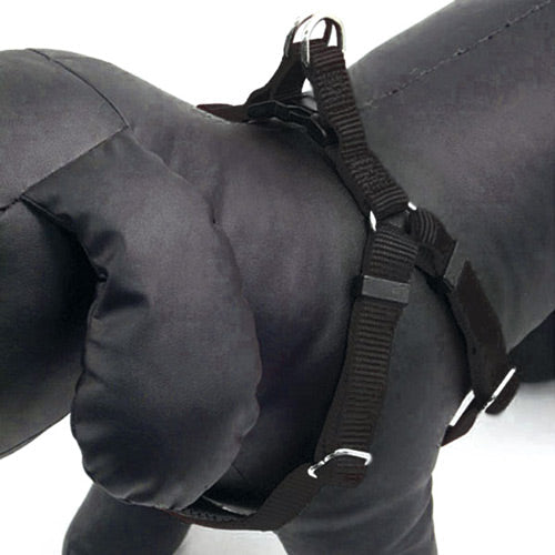 Black padded dog harness, large size (80-100cm neck), chrome fittings, comfortable design – Keans Claremorris.