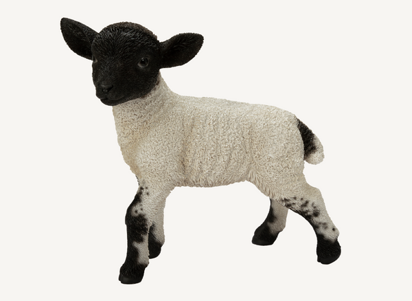 Standing Black White Lamb - Garden Ornament Keans Claremorris
