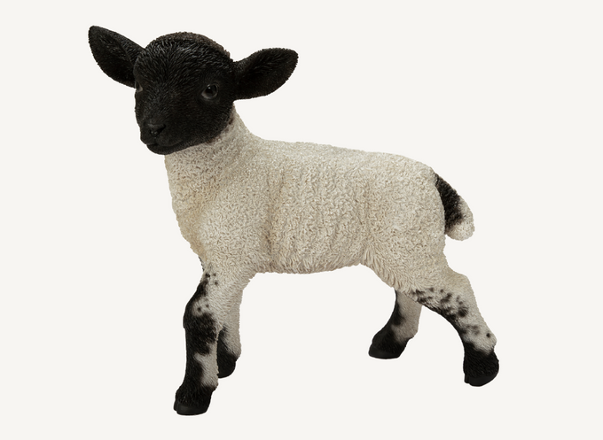 Standing Black White Lamb - Garden Ornament Keans Claremorris