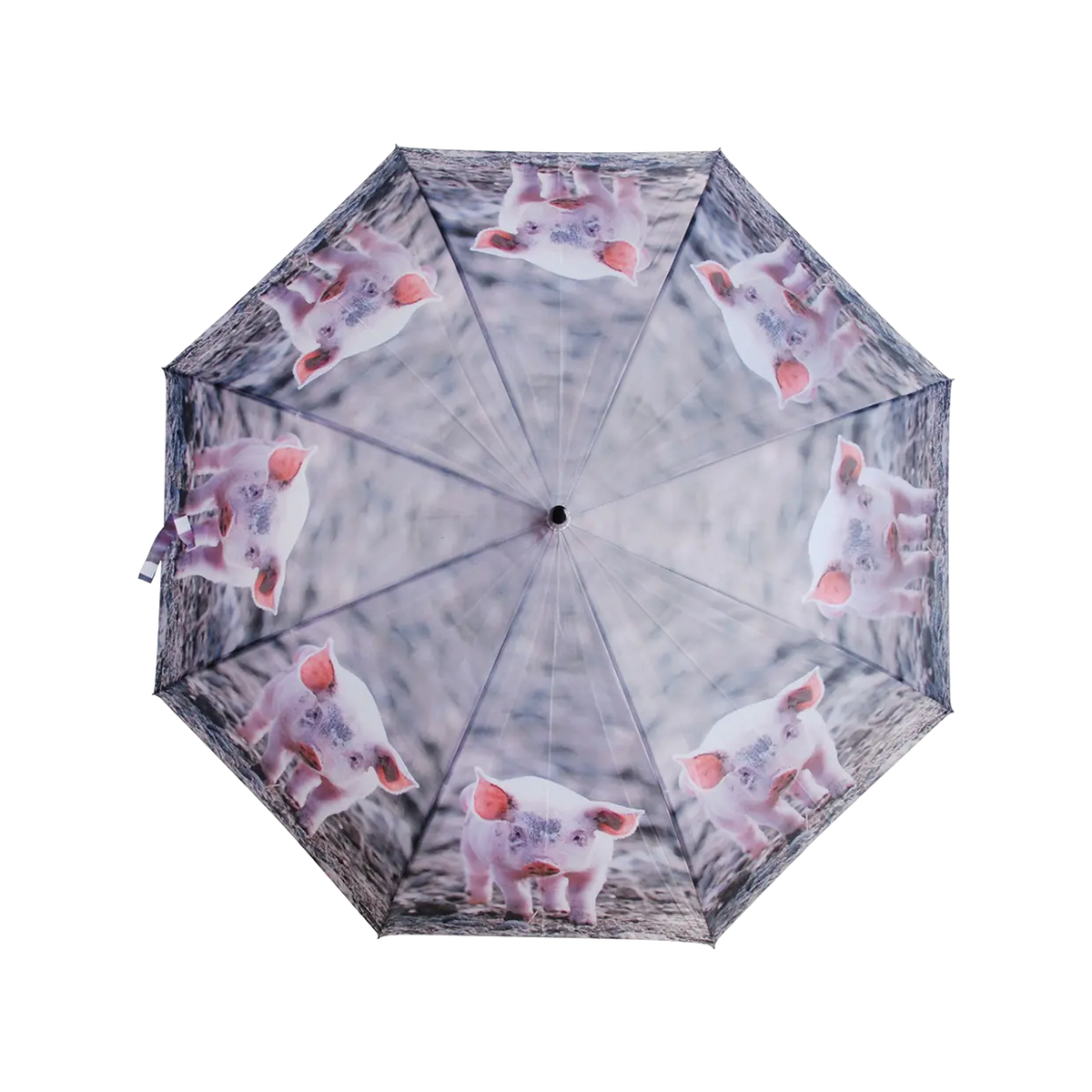 Esschert umbrella with repeating piglet images on a gray textured background, viewed from above.