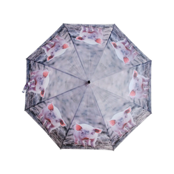 Esschert Umbrella Farm Animals