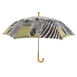 Umbrella - Out of Africa