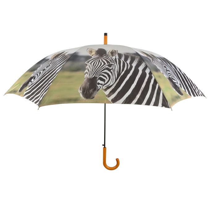 Umbrella - Out of Africa - Image 8