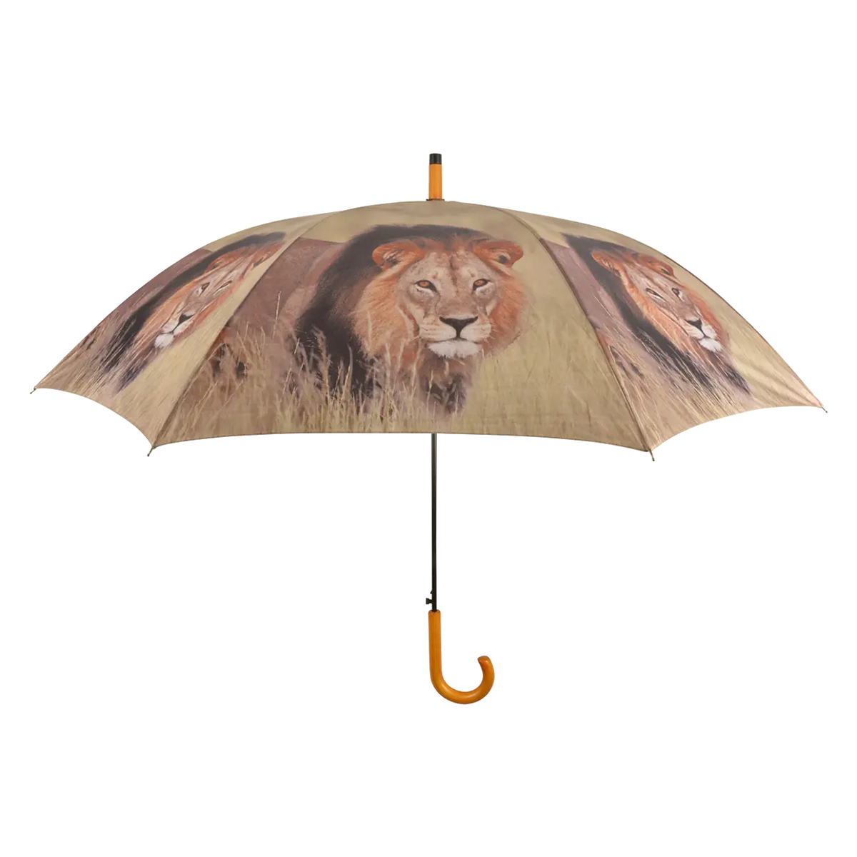 Umbrella with a lion face print on the canopy and a wooden curved handle, Out of Africa design.