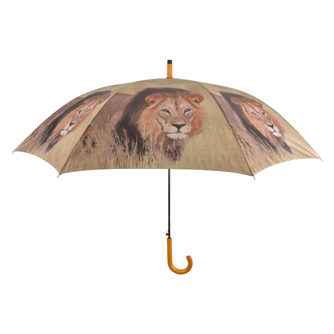 Umbrella - Out of Africa - Image 6