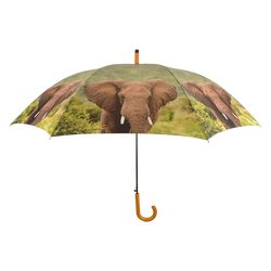Umbrella - Out of Africa