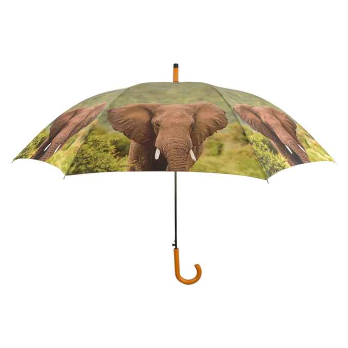 Umbrella - Out of Africa - Image 4