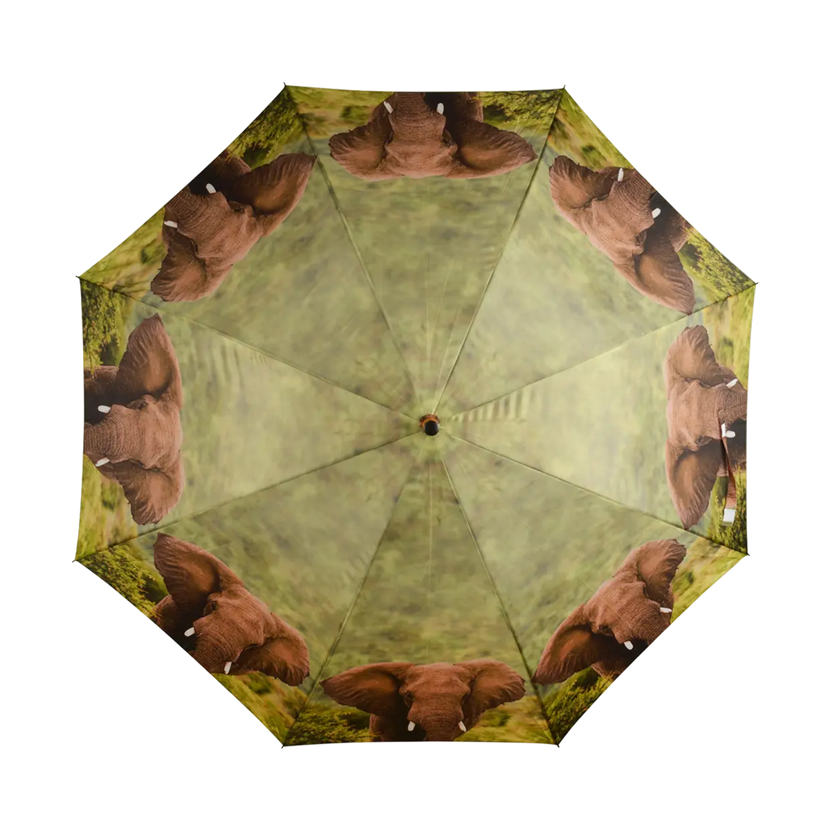 Umbrella with a repeating pattern of elephant heads on a green grassy background viewed from above.