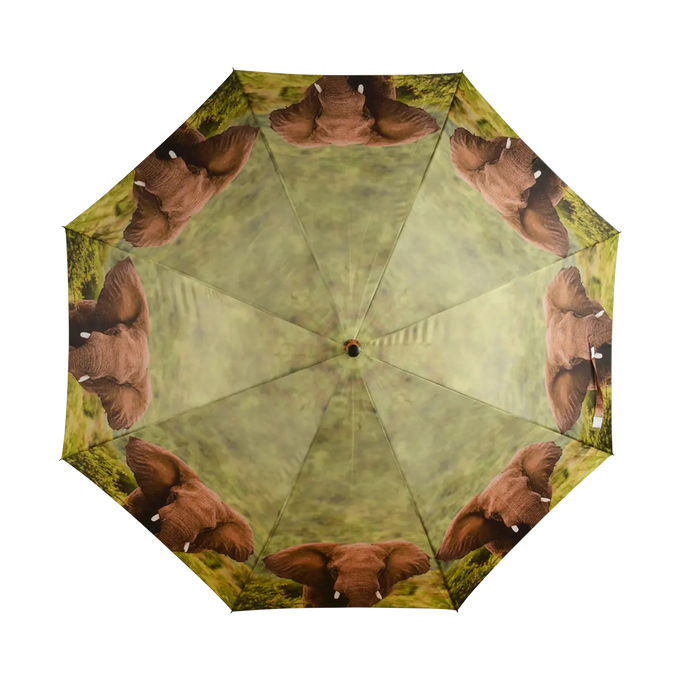 Umbrella - Out of Africa - Image 5