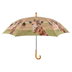 Umbrella - Out of Africa