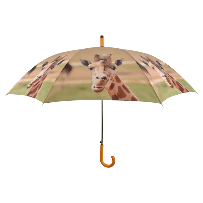 Umbrella - Out of Africa - Image 2