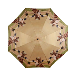 Umbrella - Out of Africa