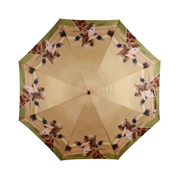 Umbrella - Out of Africa - Image 3