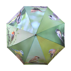 Umbrella - Birds