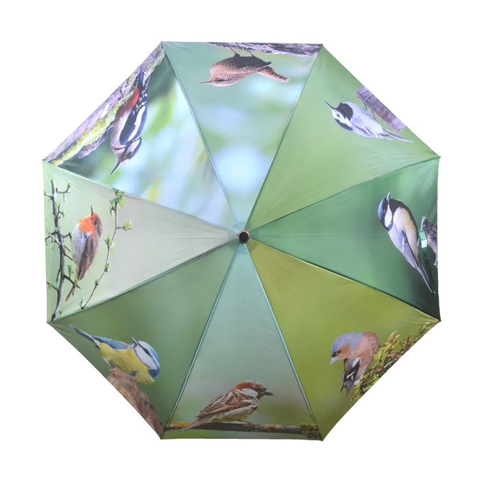 Umbrella - Birds - Image 2