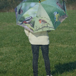 Umbrella - Birds