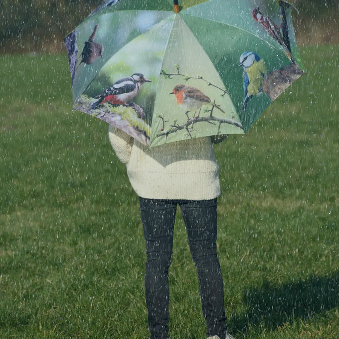 Umbrella - Birds - Image 3
