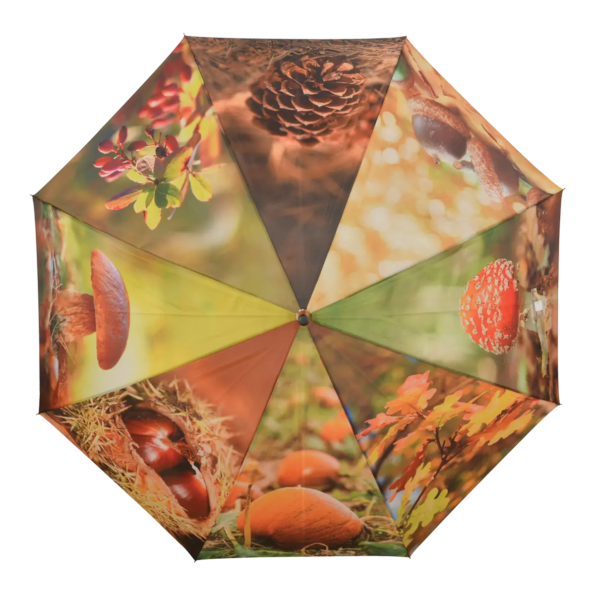 Umbrella with autumn-themed panels showing pinecone, acorns, mushrooms, chestnuts, and fall leaves