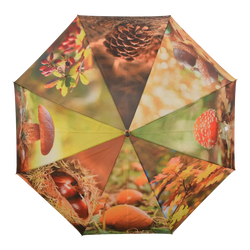 Umbrella - Autumn
