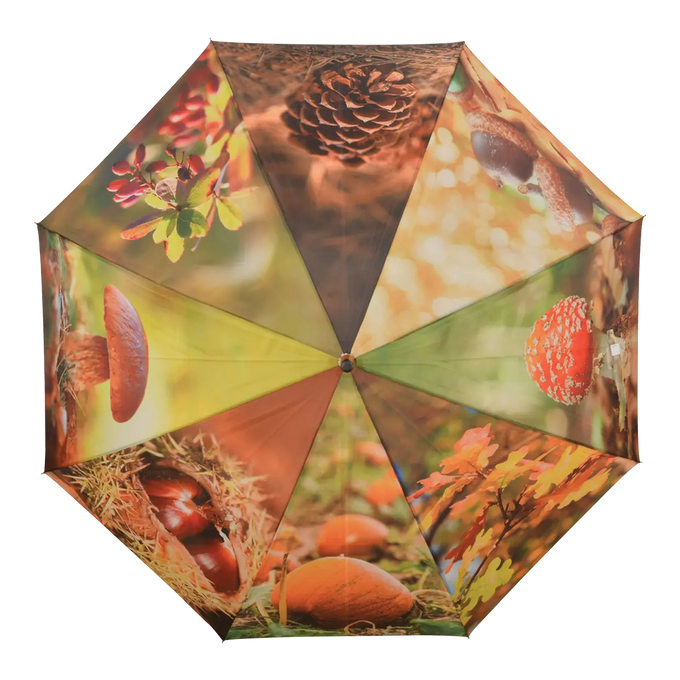 Umbrella - Autumn - Image 2