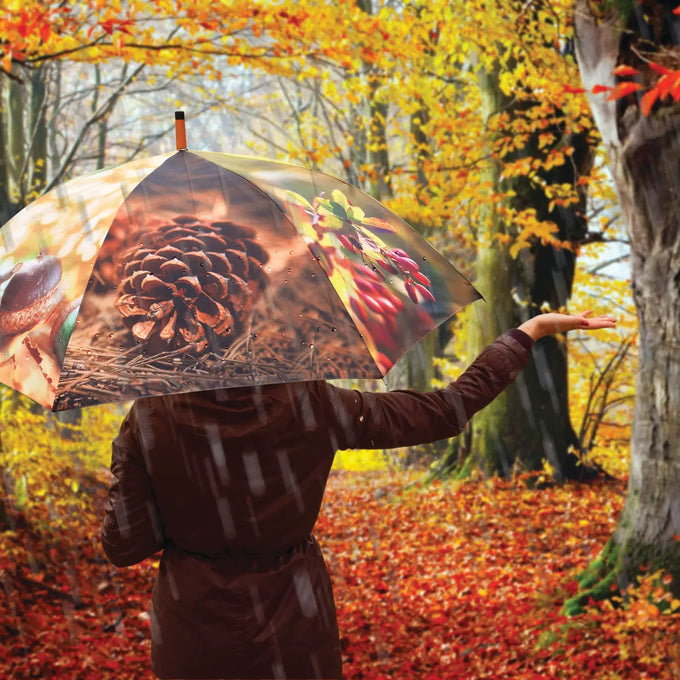 Umbrella - Autumn - Image 3