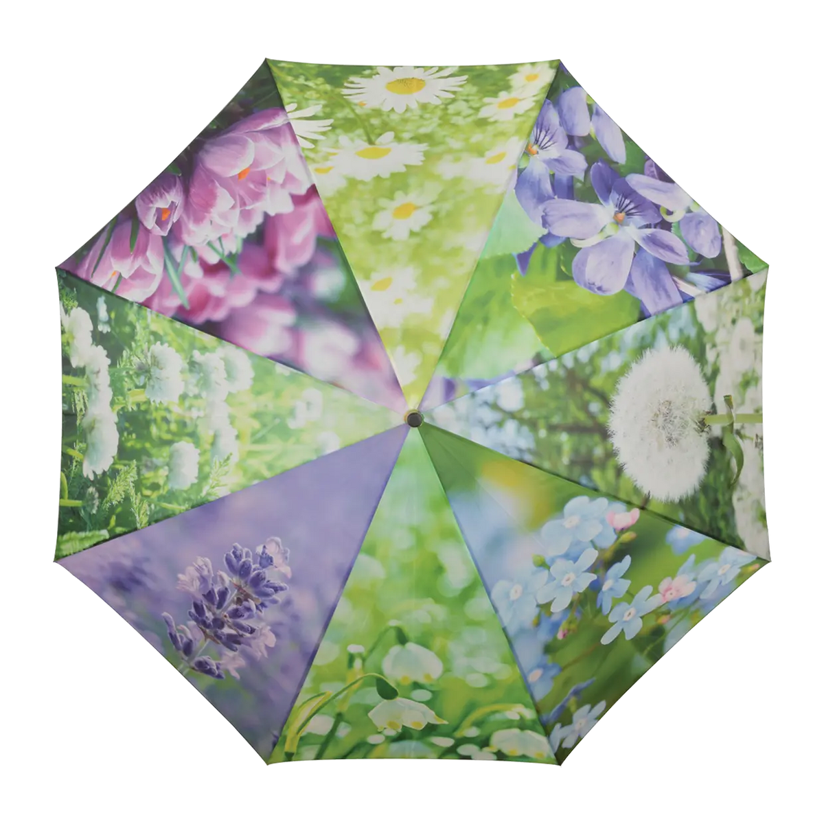Open umbrella with colorful floral panels featuring daisies, dandelions, violets, and other flowers