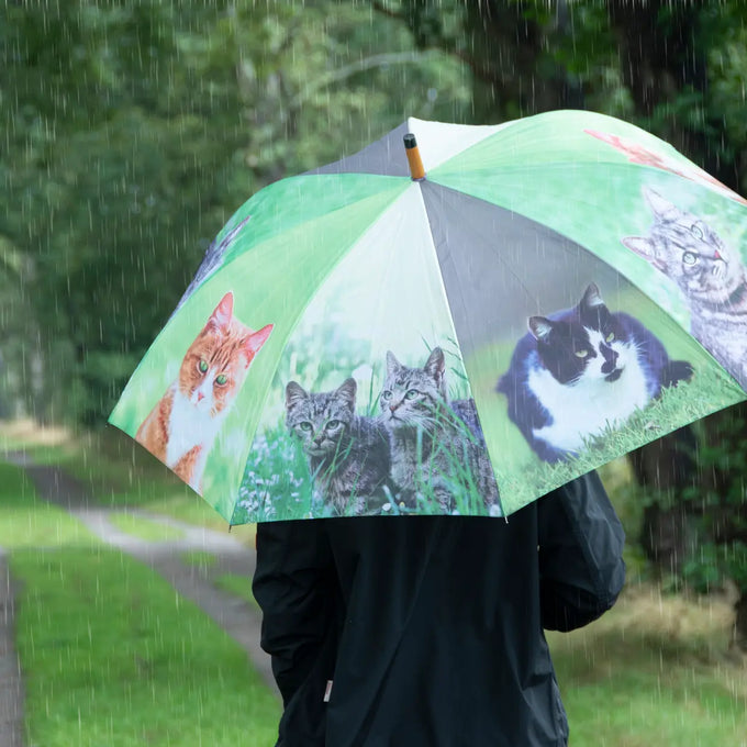 Umbrella - with Cats - Image 3