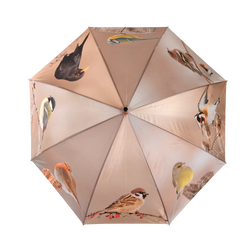 Umbrella - Winter Birds