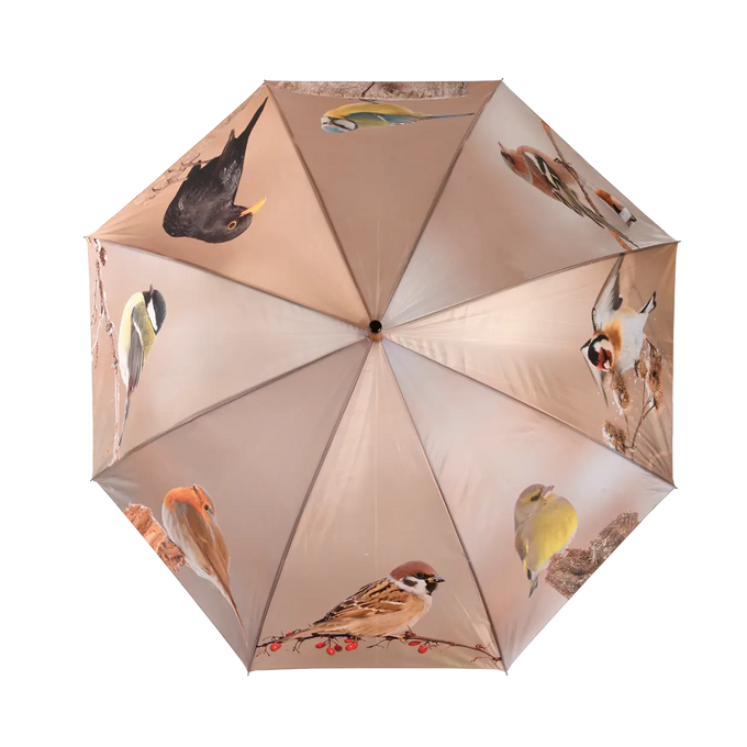 Umbrella - Winter Birds - Image 2