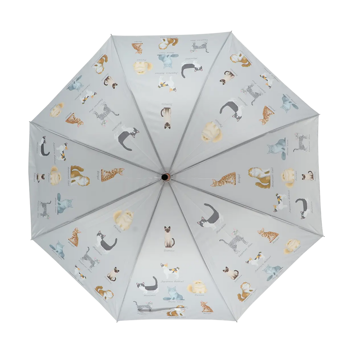 Esschert umbrella with illustrated cat breeds on a light gray canopy, viewed from above.