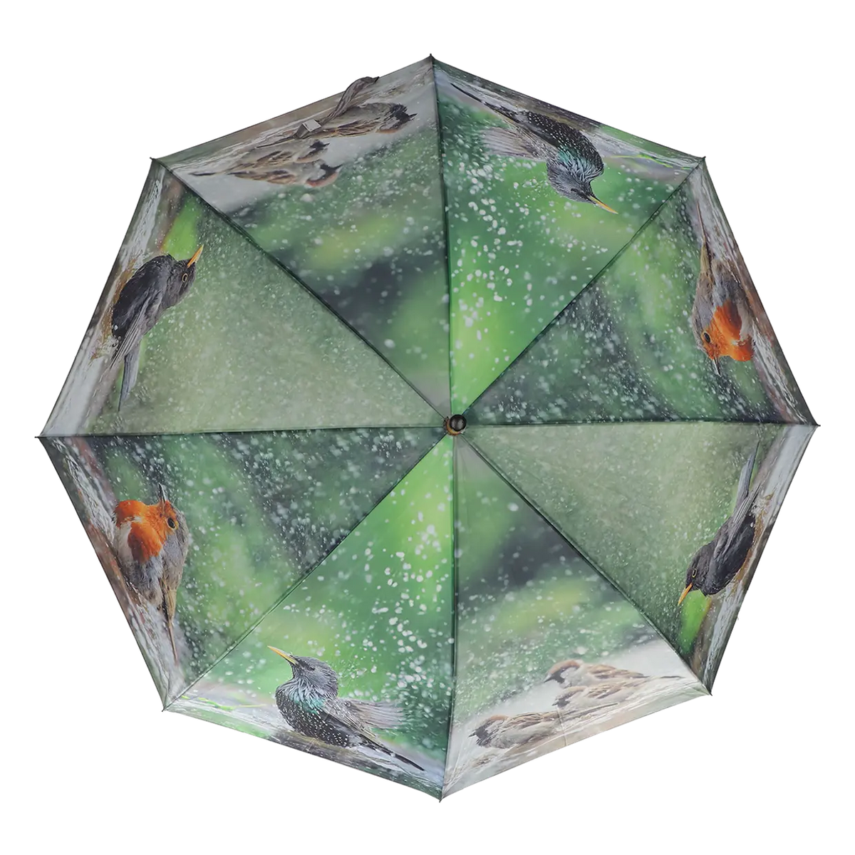 Open umbrella with a green background and images of various bathing birds on each panel.
