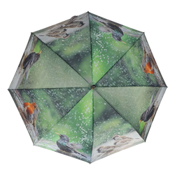 Umbrella - Bathing Birds