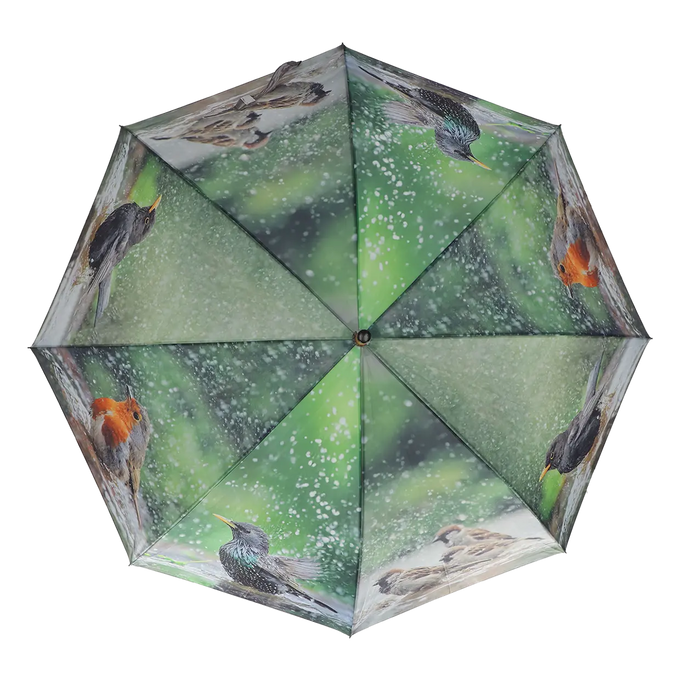 Umbrella - Bathing Birds - Image 2